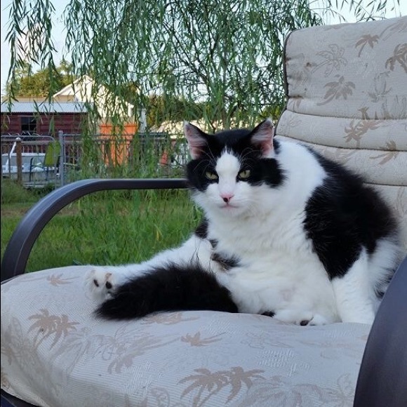 Meet your Posher, Michelle - Picture 8 of 8